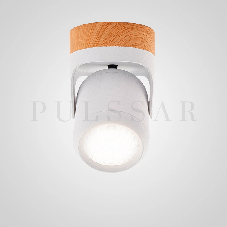 Точечный светильник PAX