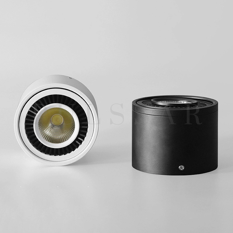 Точечный светильник PASS