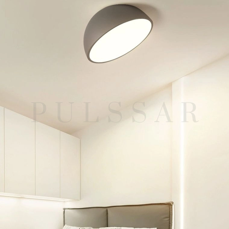 Потолочный светильник SELDEN