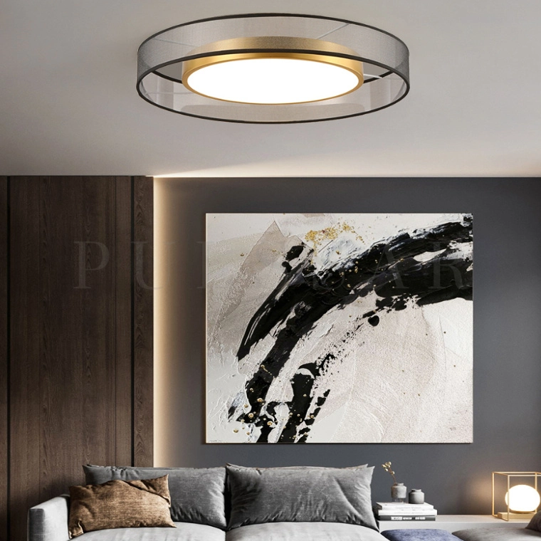 Потолочный светильник DANICA