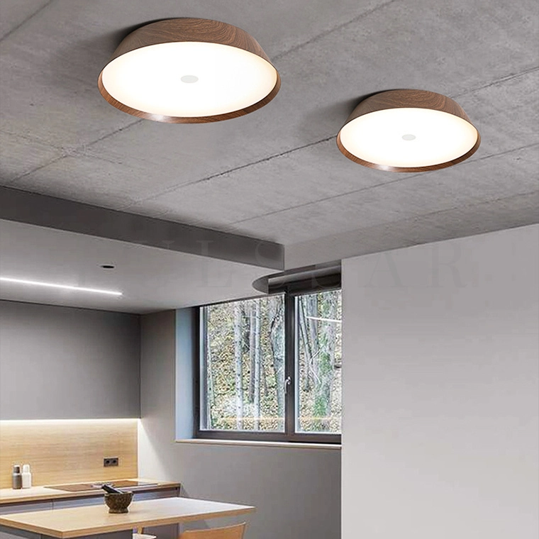 Потолочный светильник VASABI