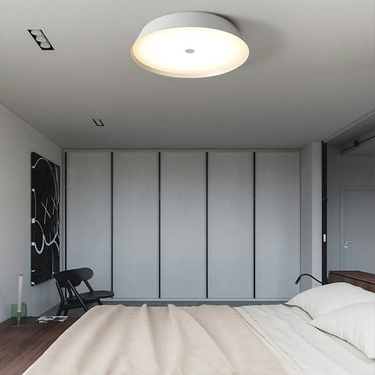 Потолочный светильник VASABI