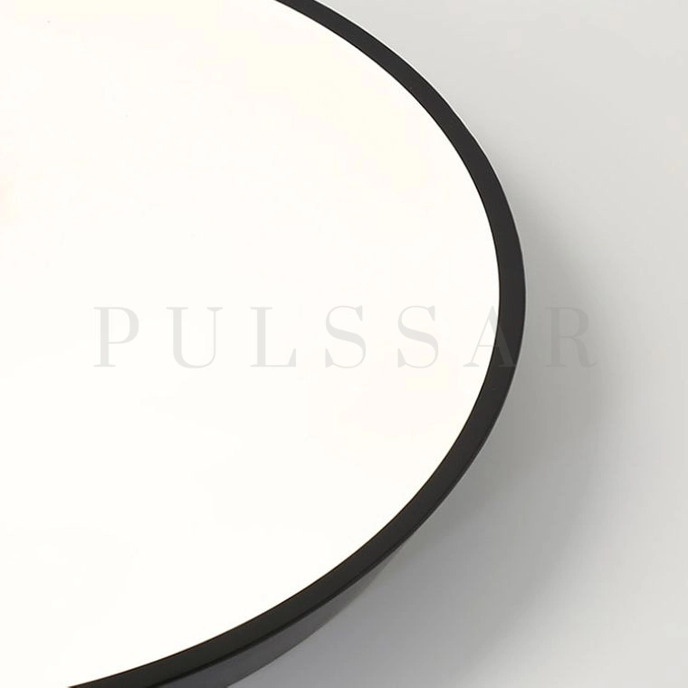 Потолочный светильник TERRA