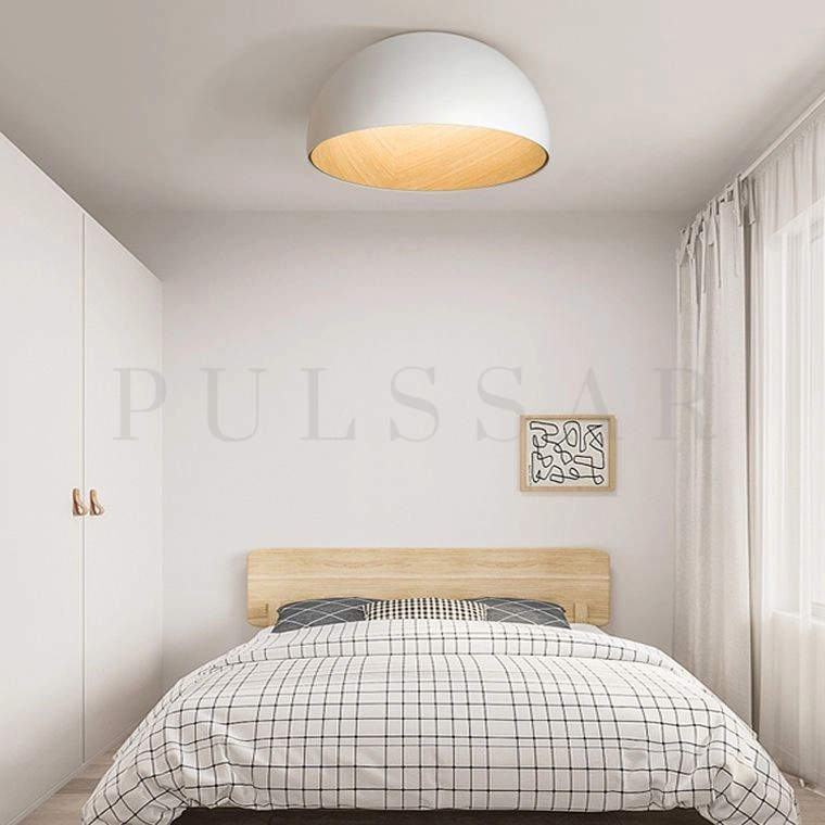 Потолочный светильник BARA