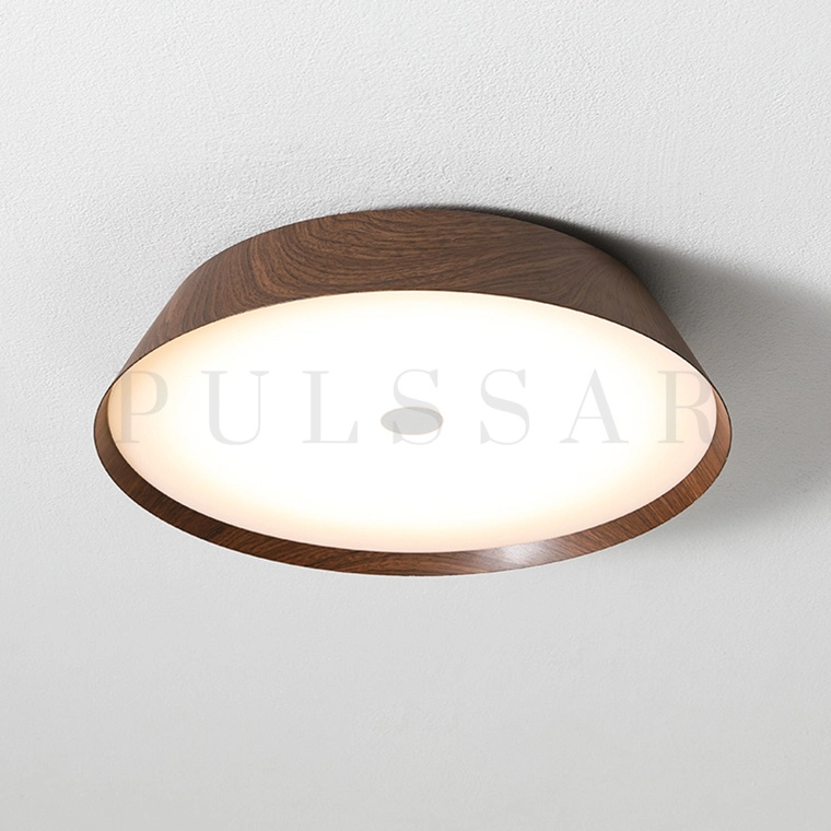 Потолочный светильник VASABI