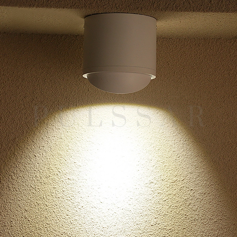 Точечный светильник PASS