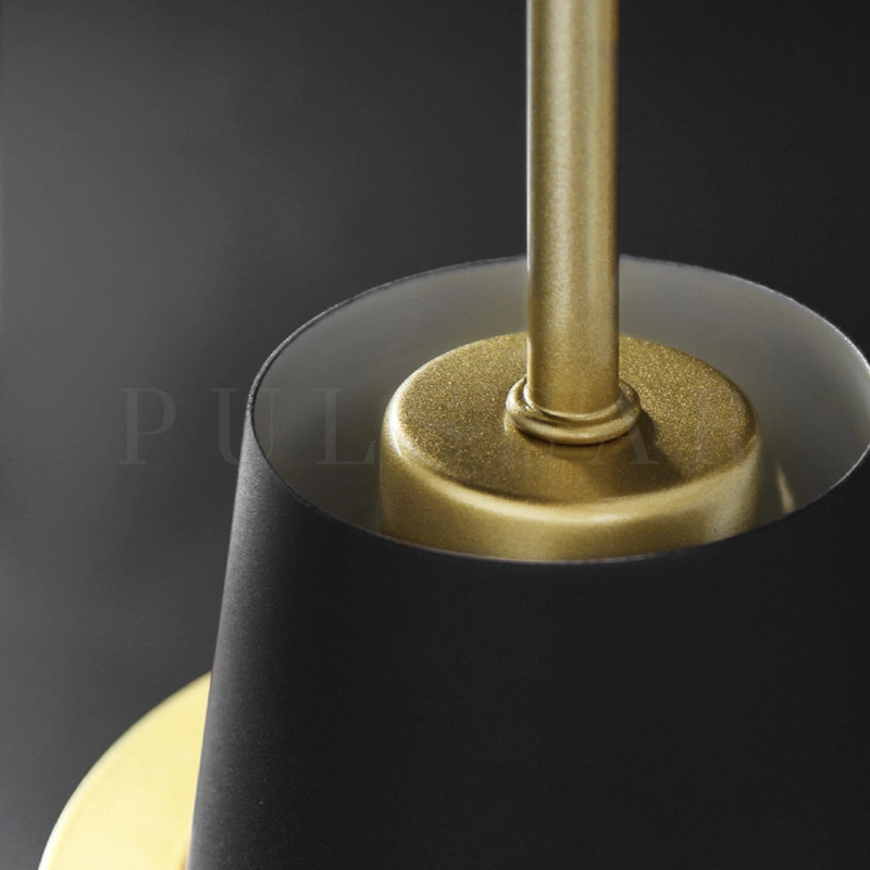 Подвесная люстра REINAR