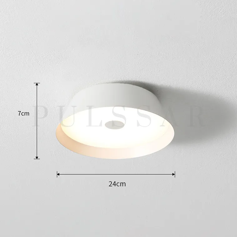 Потолочный светильник VASABI