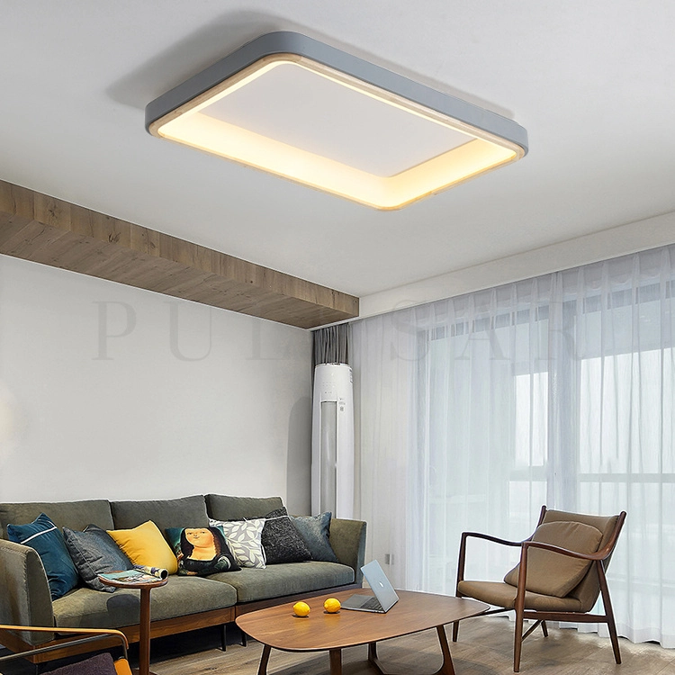 Потолочный светильник BRISTOL