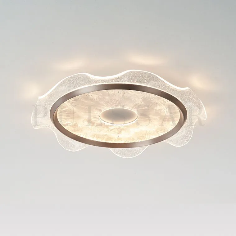 Потолочный светильник MOBIUS