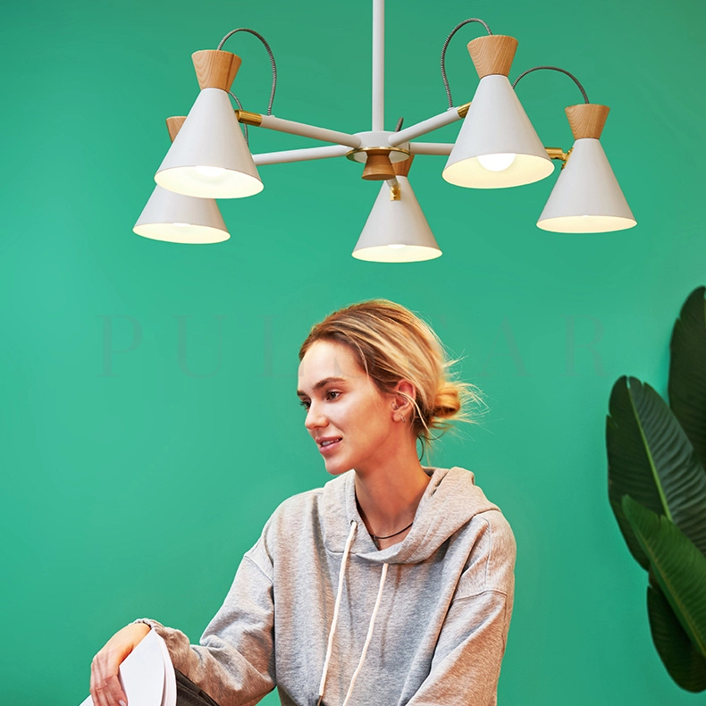 Подвесная люстра SINDRE