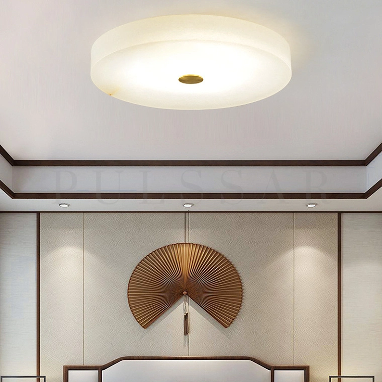 Потолочный светильник SALENA