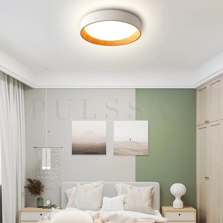 Потолочный светильник WENNY