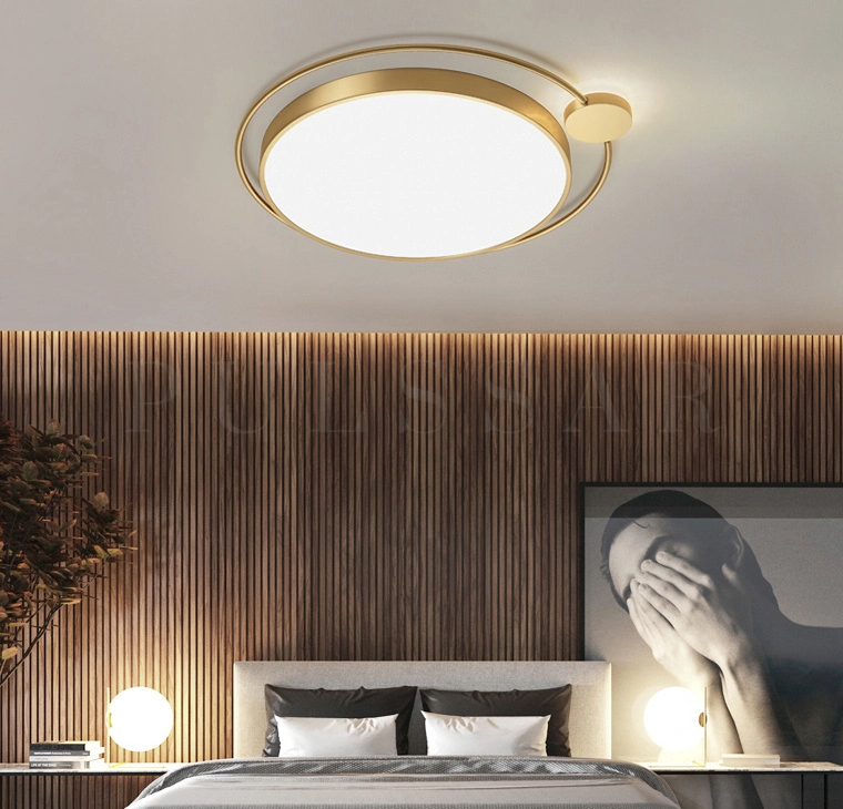 Потолочный светильник GERDIS LIT