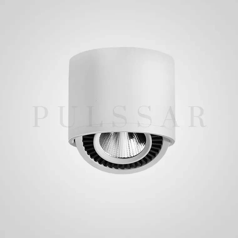 Точечный светильник PASS