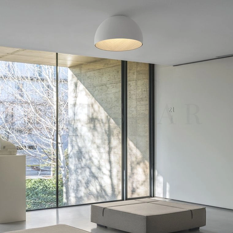 Потолочный светильник BARA