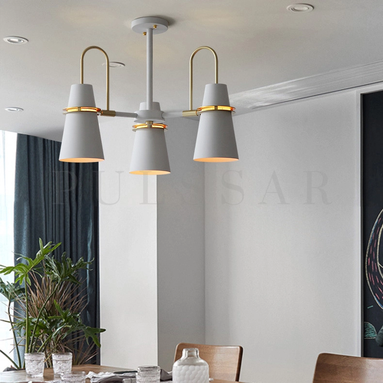 Подвесная люстра REINAR