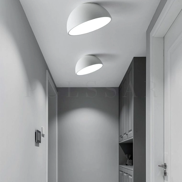 Потолочный светильник SELDEN