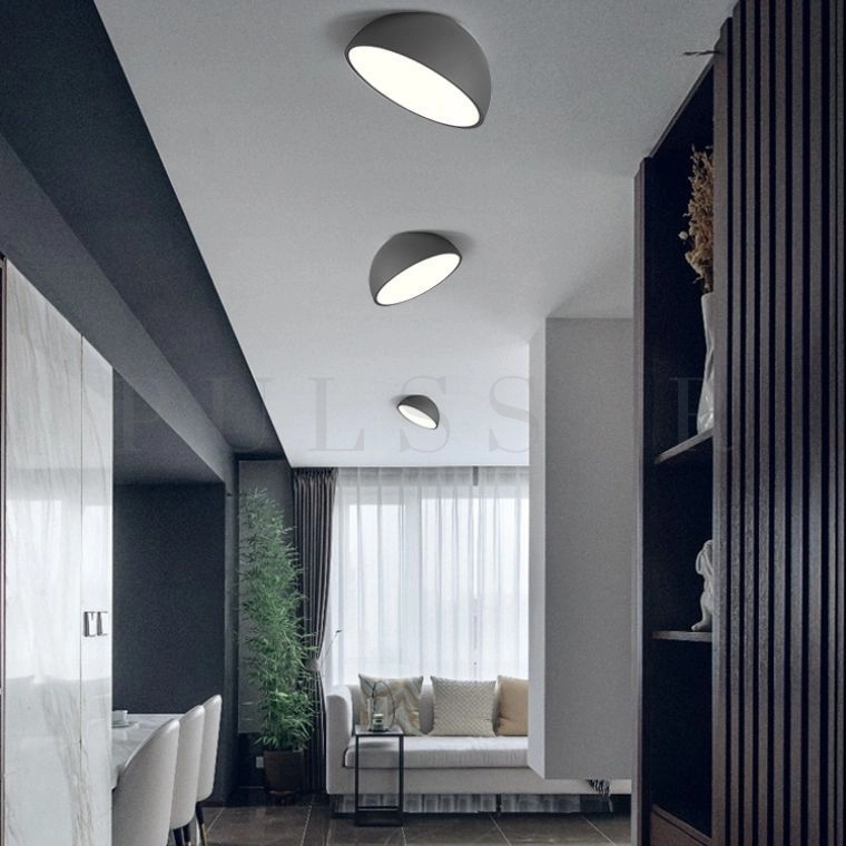 Потолочный светильник SELDEN