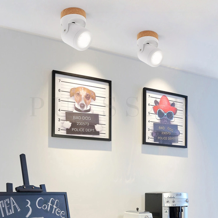 Точечный светильник PAX