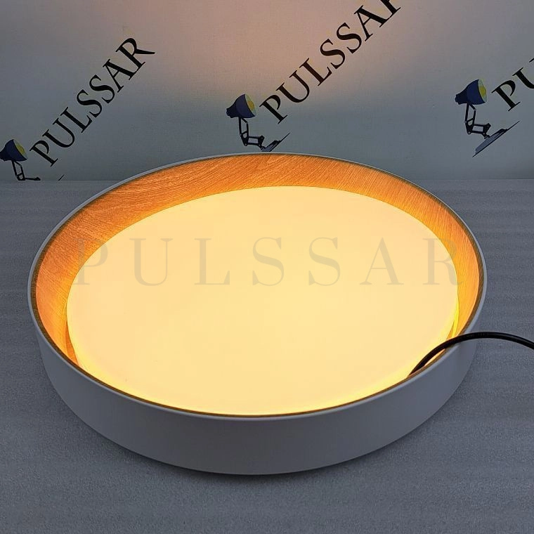 Потолочный светильник WENNY