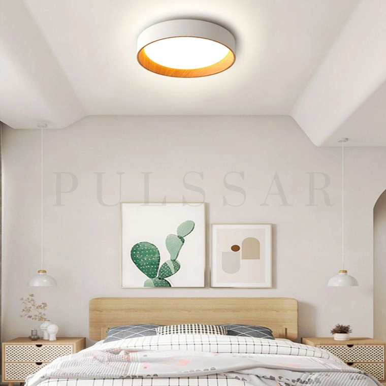 Потолочный светильник WENNY