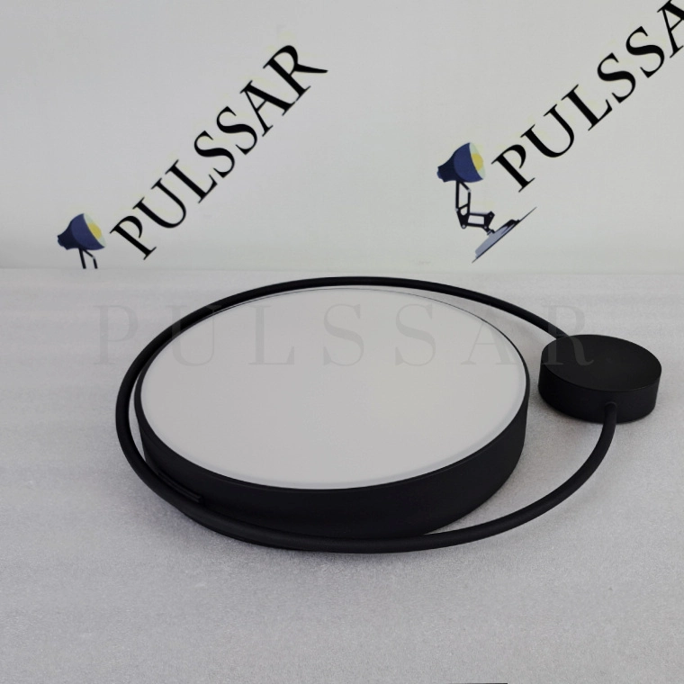 Потолочный светильник DESTIN