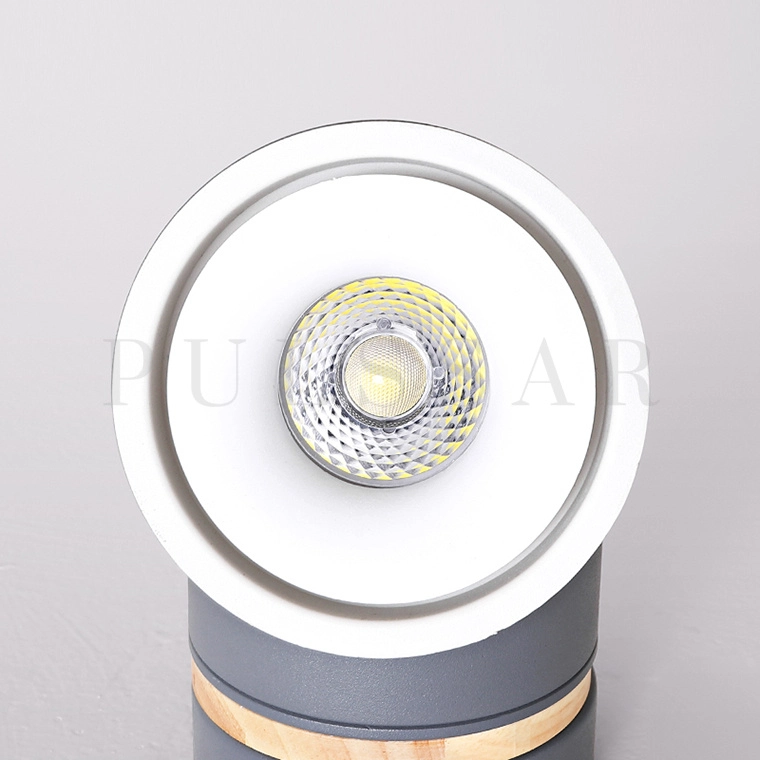 Точечный светильник AGENDA WOOD