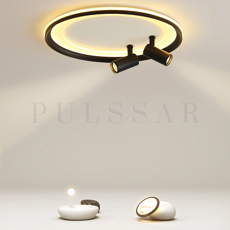 Потолочный светильник GARB